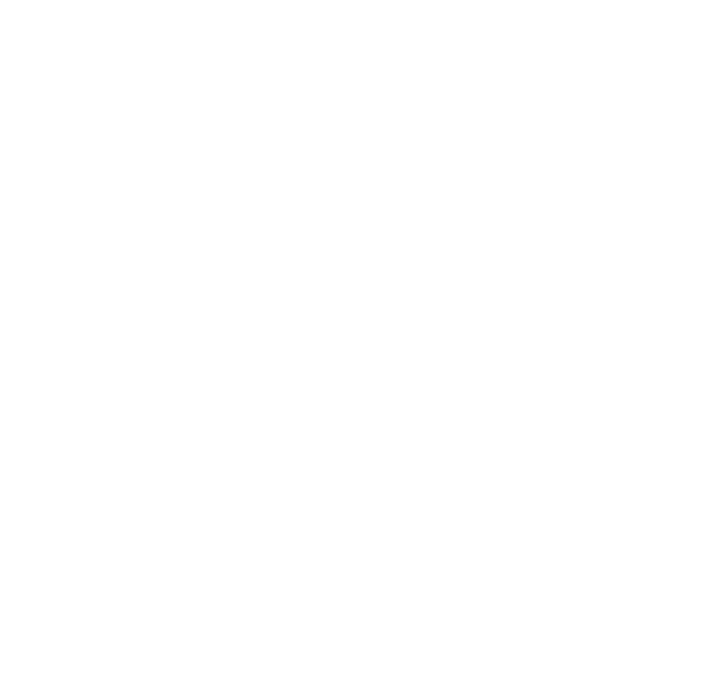 Trehan Luxury Floors – Creating Communities Since 1989